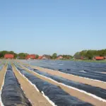 Kan jeg klippe i min presenning for at tilpasse dens størrelse?